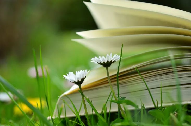 浪漫唯美的情侶頭像網(wǎng)名推薦