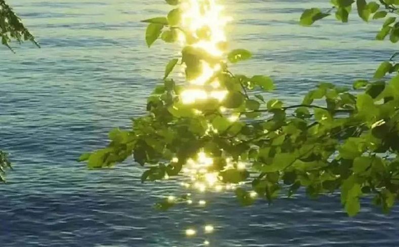 《蠻好的人生》大結局丁致遠求復合：丁致遠姓名測試打分，解析!