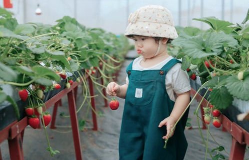 女孩起名,女孩起名甜和恬哪個(gè)更好？