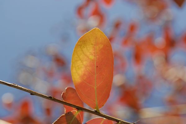 公司起名丨資產管理公司起名字大全分享