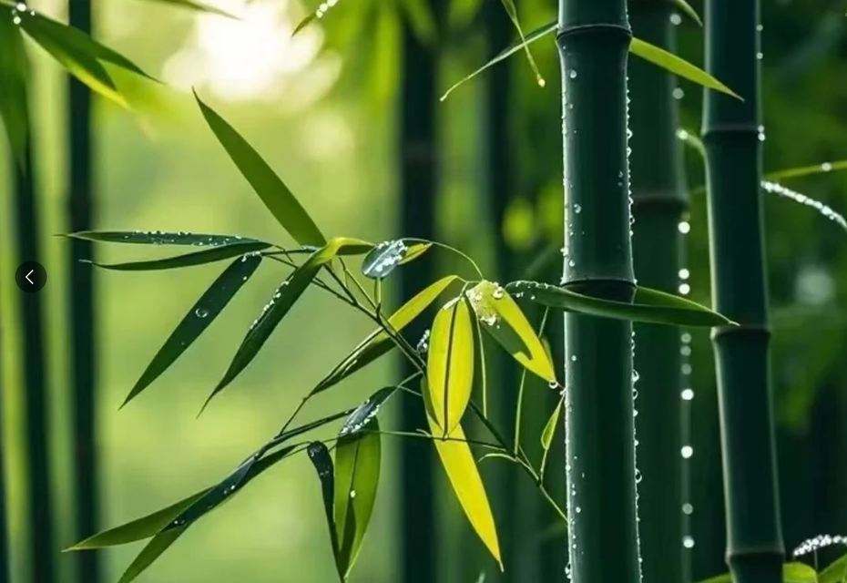 公司起名丨讓你一鳴驚人的公司名稱有哪些？