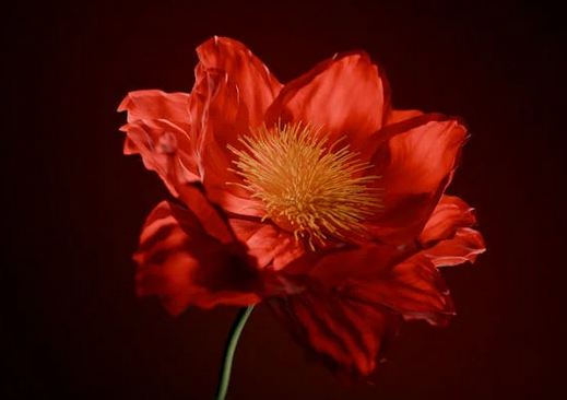 男生干凈網(wǎng)名二字 男生微信網(wǎng)名