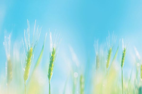 游戲起名丨四個字勵志洛克王國游戲取名