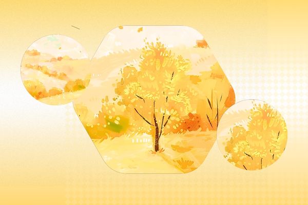 網名起名丨高級感拉滿的小眾網名