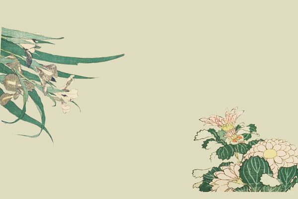 好聽不膩的意境感網名ID