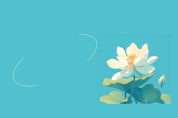 改個奶奶輩權威微信昵稱id