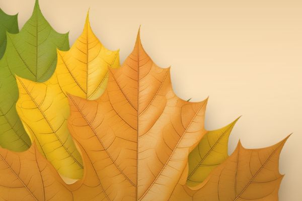 旺生意的名字餐飲店取名，這些名字真不錯~