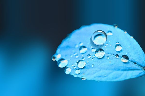 游戲名丨王者榮耀霸氣超拽英文名字