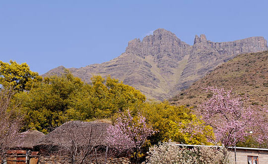 難懂又有深意的英文網(wǎng)名