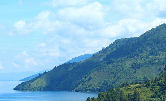 2022年虎寶寶女孩名字大全