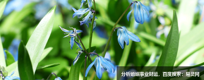 姓李的男孩起名字大全2022年四個(gè)字