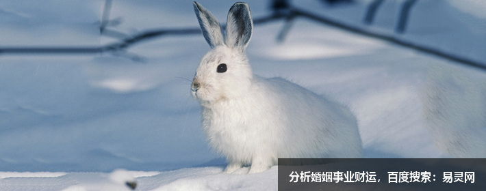 寶藏男孩胡歌，胡歌這個名字打分，解析