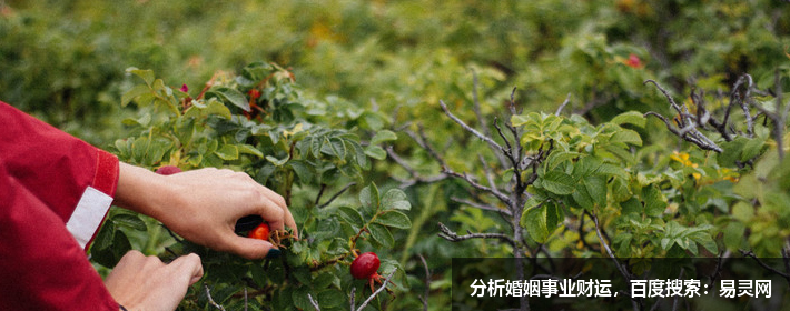 好聽的全屋定制品牌名字