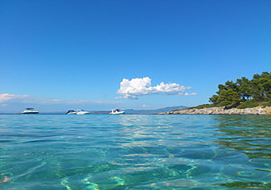 什么店名好聽又吸引人網店名字