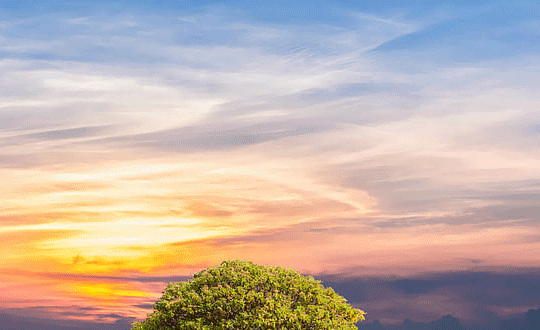 1581056662158818.png 5(122).png