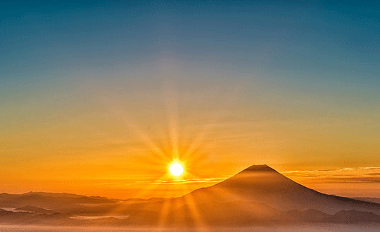 1581057886120246.png 5(130).png