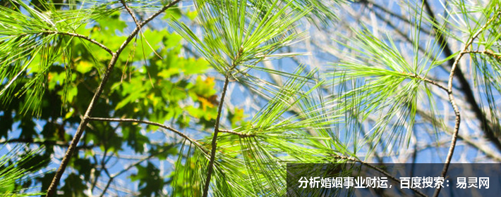 可鹽可甜的情侶網名ID